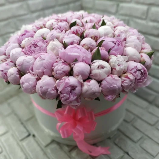101 розовый пион в шляпной коробке