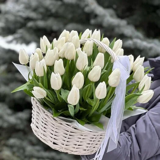 51 белый тюльпан в плетеной корзине