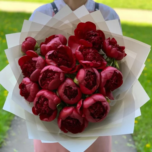 Бордовые (красные) пионы 15 шт
