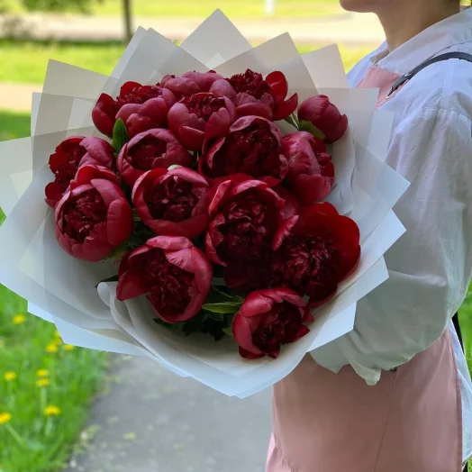 Бордовые (красные) пионы 15 шт