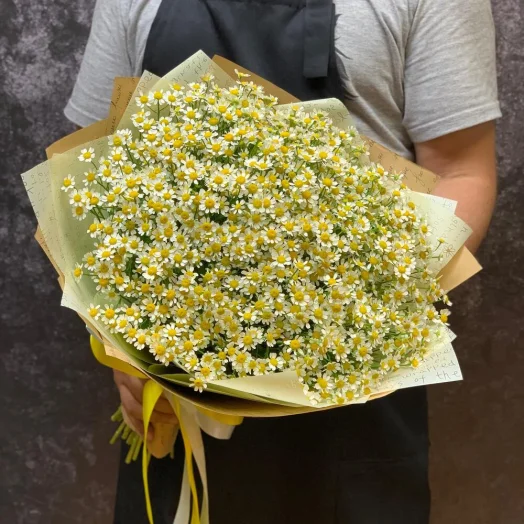 Букет из 25 кустовых ромашек