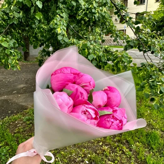 Малиновые (фиолетовые) пионы 9 шт