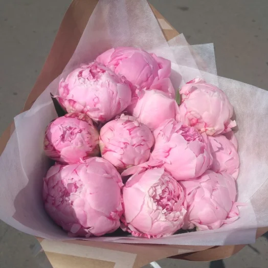Розовые пионы 11 шт